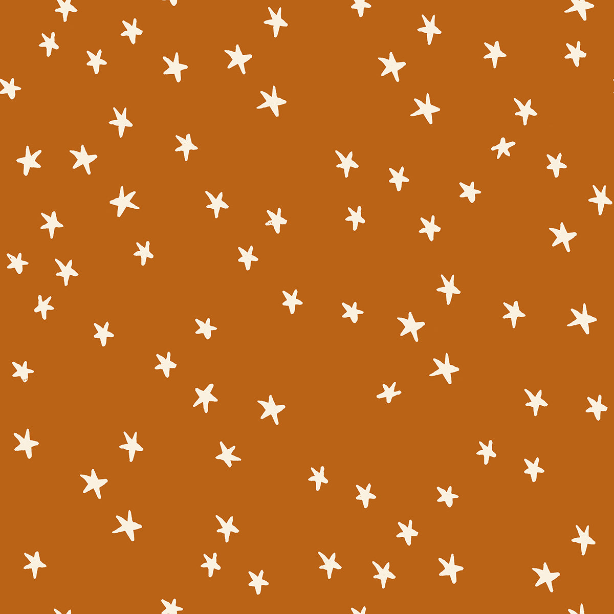 Saddle - Starry